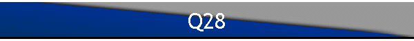 Q28