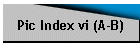 Pic Index vi (A-B)