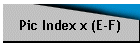 Pic Index x (E-F)