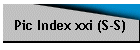 Pic Index xxi (S-S)
