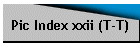 Pic Index xxii (T-T)
