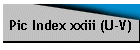 Pic Index xxiii (U-V)