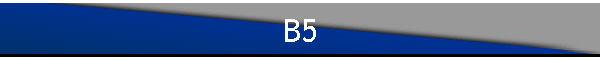 B5