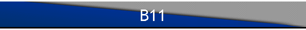 B11