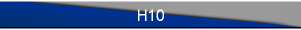 H10